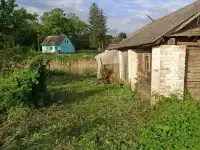 Дом с выходом к водоему, д. Красная Звезда, ул. Школьная, 70, р-н, Минский р-н, фотография 7
