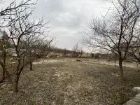 Продам дачу, Ситники, речицкий район, фотография 8