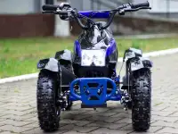 Электроквадроцикл MMG Eco Cobra 800W, фотография 1