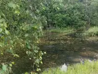 Продается производственный цех 1300 м на участке 2 га с озером и лесом, фотография 10