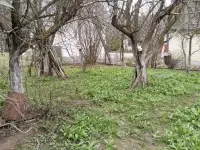 Сдам дачу в аренду в Логойском районе, Садоводческое товарищество Лесная поляна-05, фотография 3