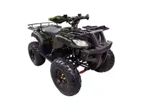 Квадроцикл wels atv thunder 200