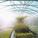 Система туманообразования, фотография 2
