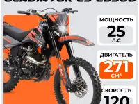 Мотоцикл GLADIATOR C3 CB300