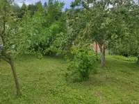 Дачный участок, Минская район.Садовае товарищества Подвески., фотография 9