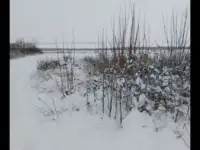 Продам дом в магилёвскай области деревня Волосовичи, фотография 4