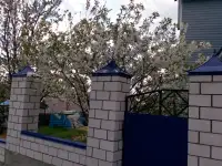 Услуги жестянщика, фотография 3