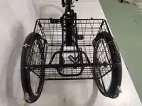 Трехколесный электровелосипед shtenli trike 31, фотография 10