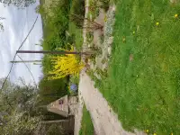 Дом, Деревня Заречье, фотография 6