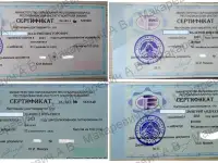 Репетитор по физике и математике в Мозыре в районе СШ 16, фотография 5