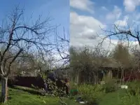 Садовник, уход за садом, фотография 3
