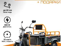 Электротрицикл AVM Cargo mini 800