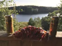 Продам, Заозерье.Ушачский район.Великодолецкий с/с, фотография 10