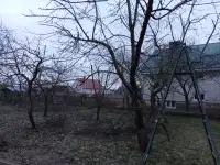 Садовник, фотография 2