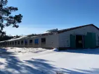 Фермерское хозяйство Лоевский район Гомельская область, фотография 3