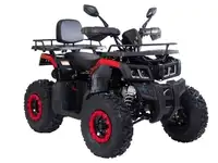Квадроцикл racer rc200 gladiator 200cc