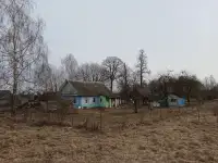 ЖИЛОЙ ДЕРЕВЕНСКИЙ ДОМ У ОЗЕРА агрогородок 41км от МКАД, фотография 2