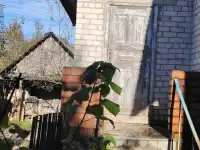 Продажа жилого дома в живописном месте с видом на лес