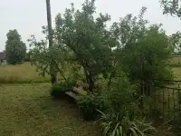 Дом, червеньский р-н д.дыя речная 7, фотография 2