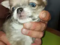 Мальчик, фотография 3
