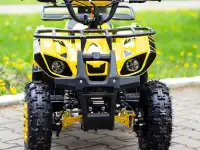 Квадроцикл Torino 49cc