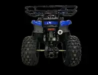 Квадроцикл motoland 125 fox, фотография 3