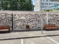 Художественные оформления стен. Граффити, стрит арт., фотография 5