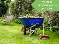 Ищу подработку 16 лет есть опыт, фотография 3