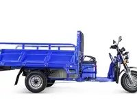 Грузовой электрический трицикл rutrike эксперт про 2000, фотография 9