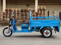 Грузовой электротрицикл AVM Cargo 1500, фотография 7