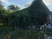 Дача в Песках срочно продаю!, Деревня Пески, фотография 3