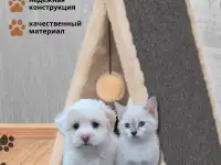 Инфографика для маркетплейс WB/Ozon, фотография 8