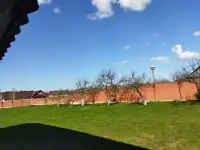 Аренда дома, обл, д Ефимово, д 68, фотография 2