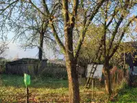 Продам дом, Деревня Лешня района Минская область, фотография 6