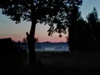 Бревенчатый дом в лесу у ручья деревни Сусловка, фотография 12