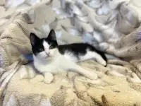 Самый ласковый Милс на свете, фотография 6