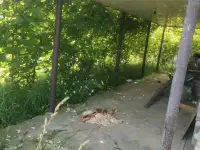Дача в Витебской области, садовое товарищество Лесное, фотография 2
