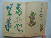 Они не должны исчезнуть. Животные, Растения, Минск, Народная Асвета,1987 год, Дорофеева, Сюборова, фотография 5