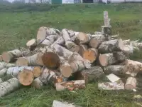 Дрова для отопления., фотография 4