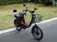 Электровелосипед AVM E-ALFA 20 Pro LITE Колхозник, фотография 3