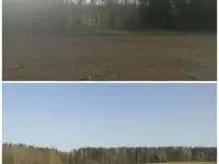 Дом в деревне Боровики Воложинского района, фотография 2