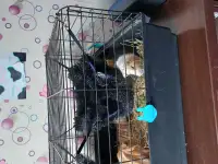Продаем, фотография 4