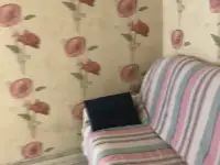 Сдача квартиры в аренду, Пр. Газеты правда, фотография 8