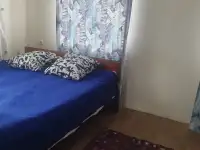 Сдам дом в Дисне. Документы для командировок, фотография 10