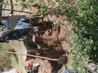 Работа на вашем участке, фотография 11