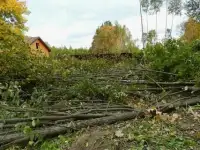 ВЫРУБКА МЕЛКОЛЕСЬЯ Утилизация