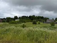 Идеальное место для дома, Докшицкий р-н, Березинский сс, д.Вольберовичи, ул. Озерная, 17, фотография 2