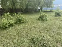Дом, Центральная ул, 22, Зубово, Зубовский сельсовет, район, Ви, фотография 9