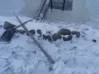 Сдам баню, фотография 2
