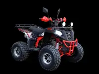 Квадроцикл amoto evo x 125